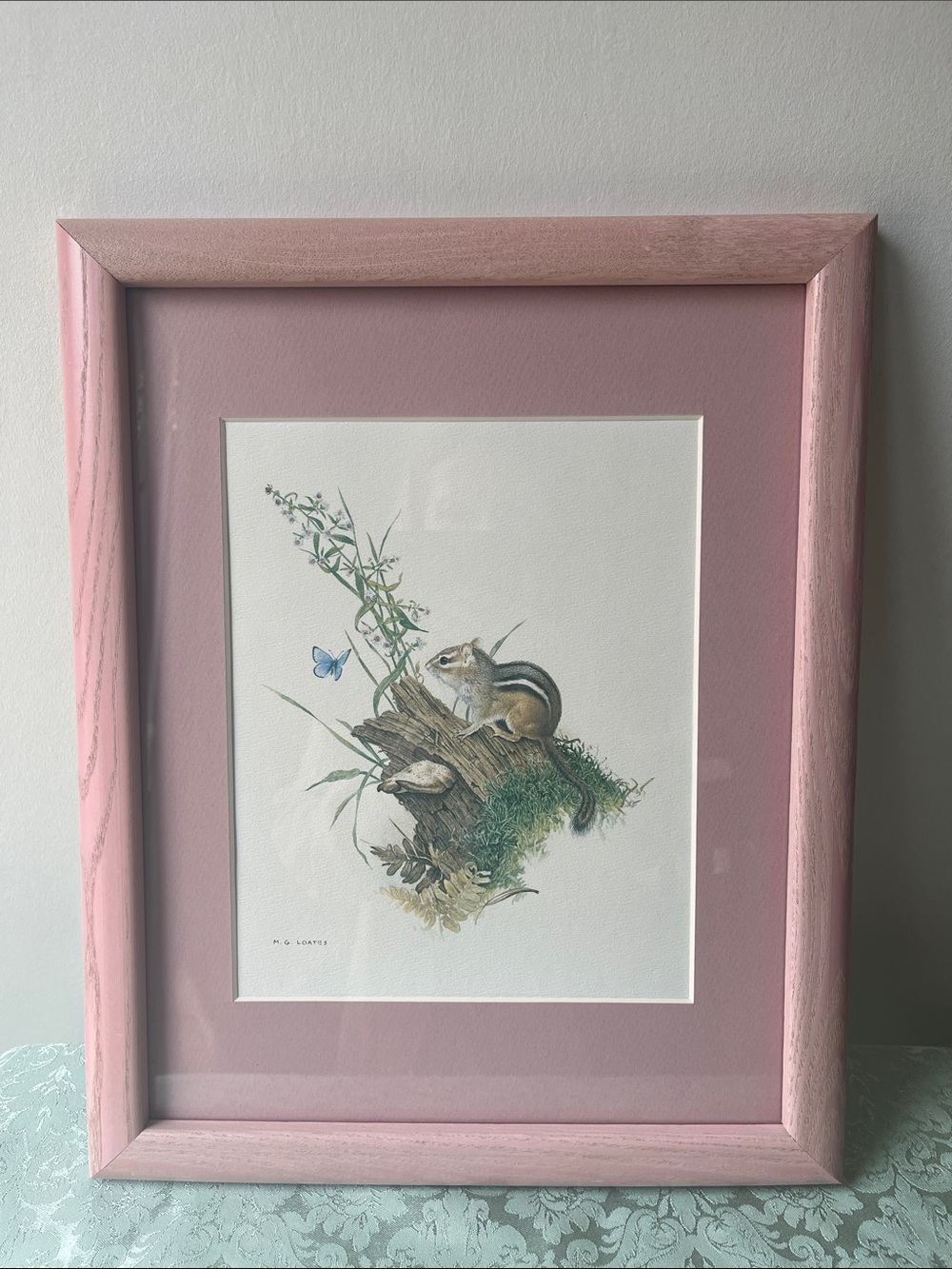 “Chipmunk and Woodland Blue Butterfly" Framed Print by Glen Loates Pink Frame